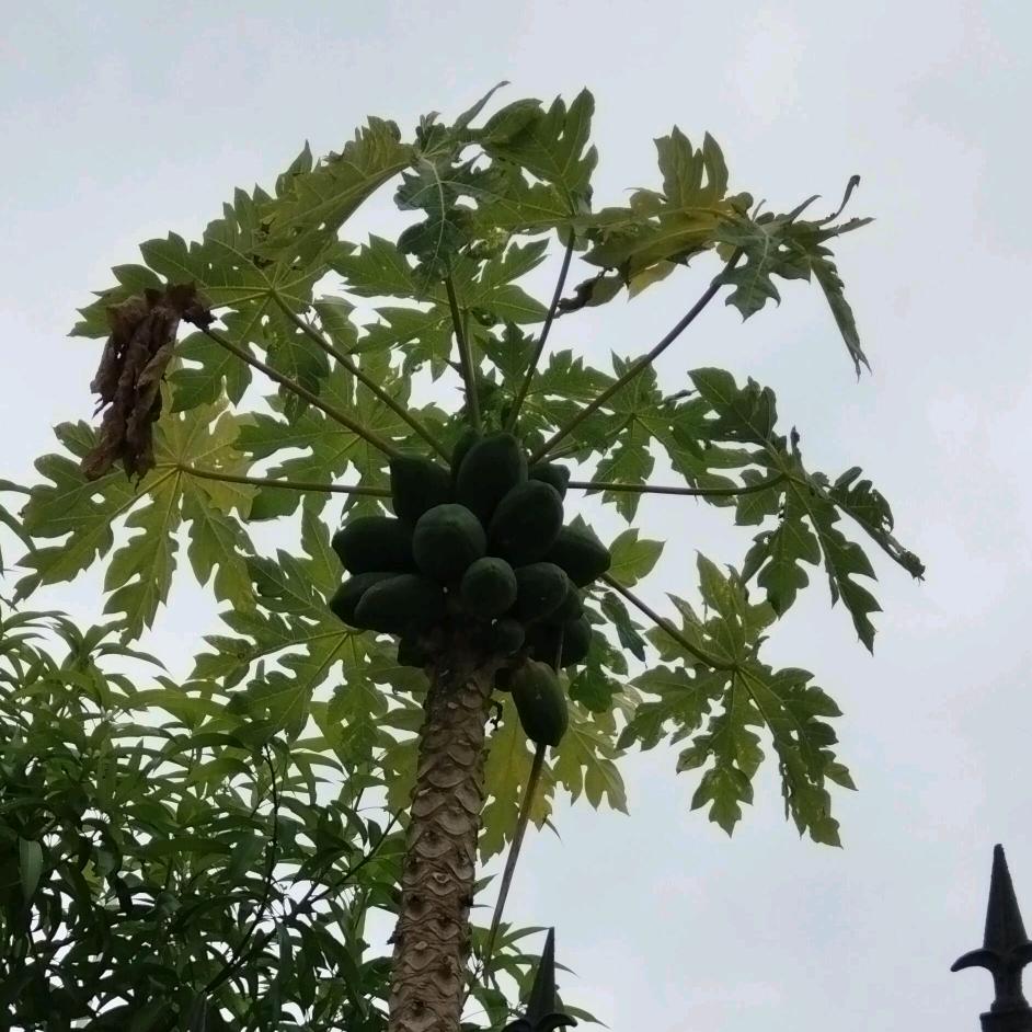 零度🌓重启