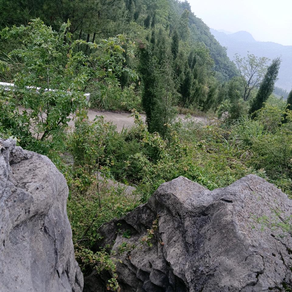 এ᭄ℳ๓暖心向阳º᭄。
