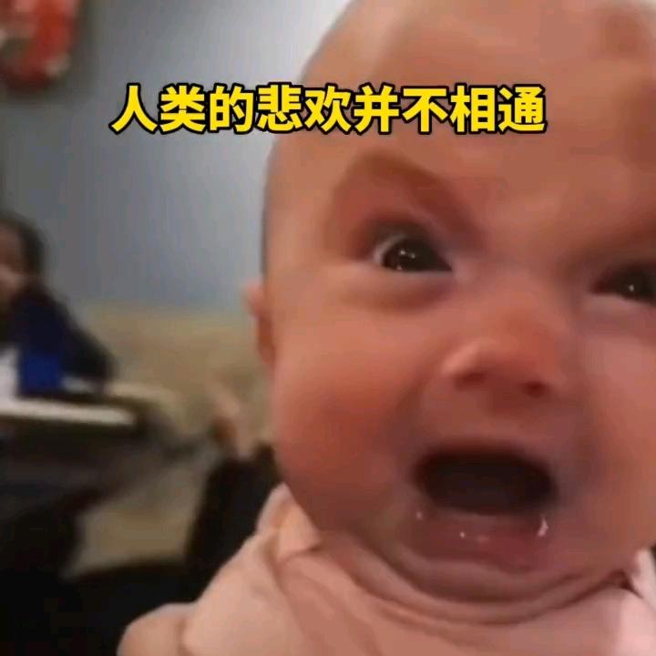 小陈let's go