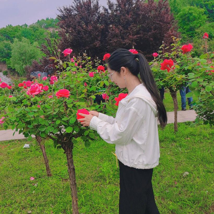 🌈🌈恰似惊鸿落人间❤️