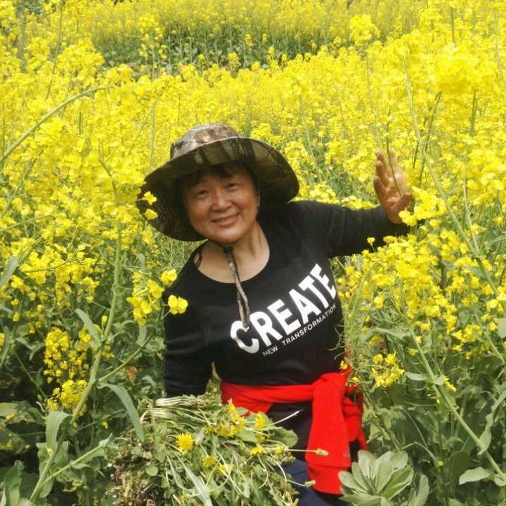 羊姐