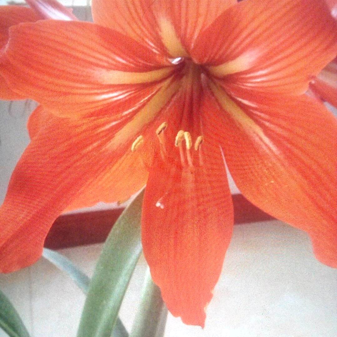 春暖花开♥♥
