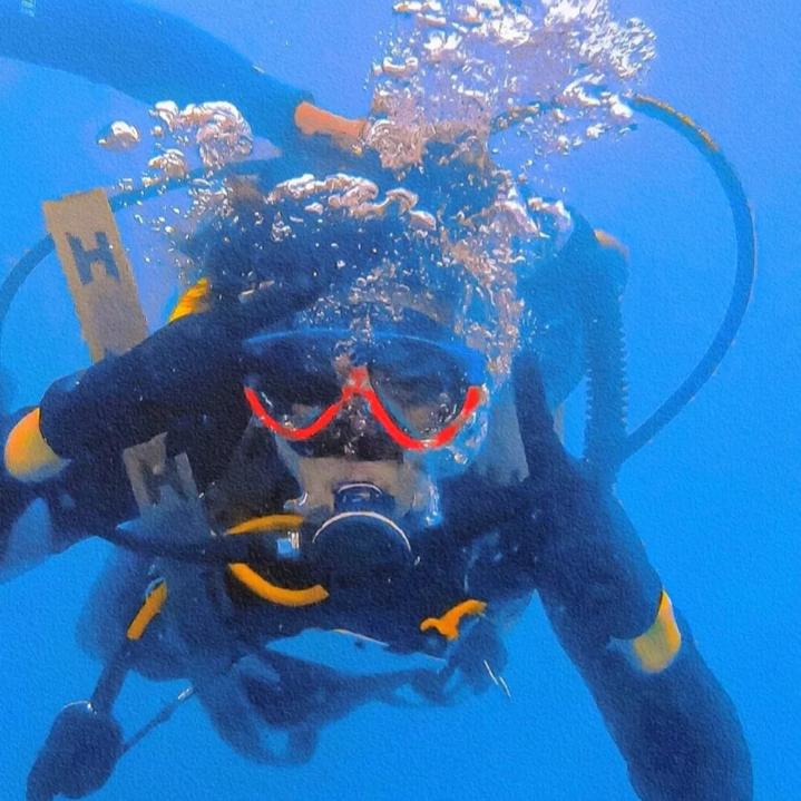 萌鸡