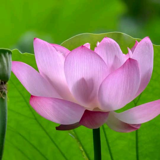 天天快乐保平安