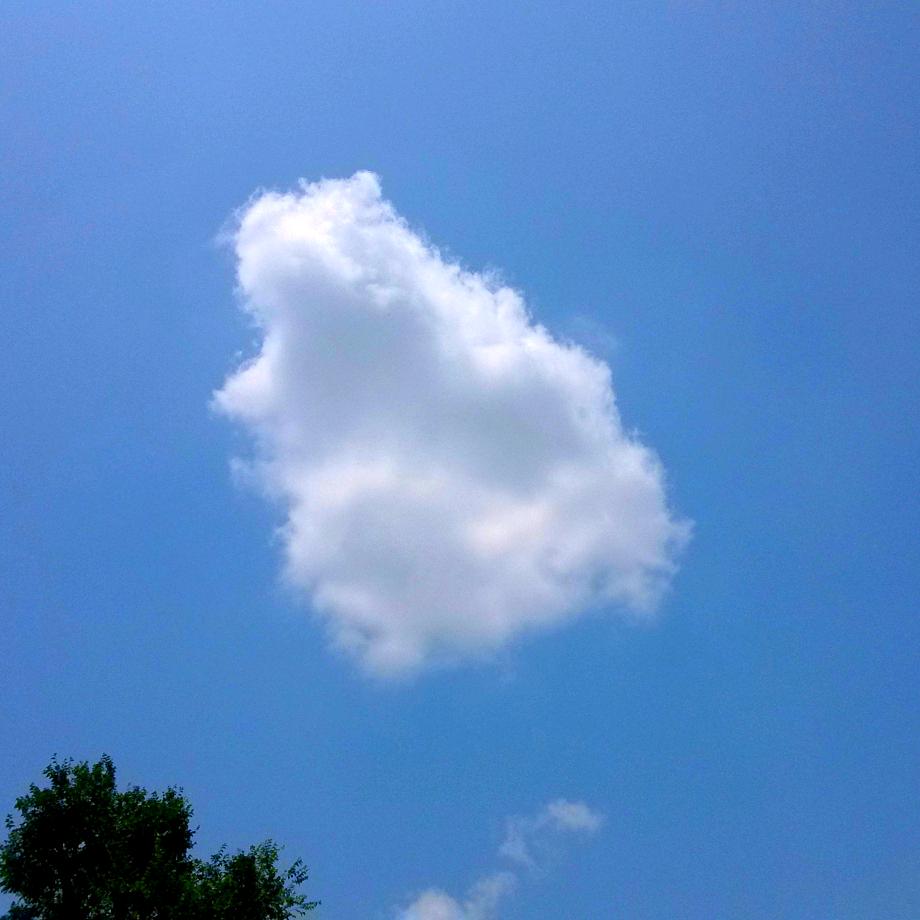 房东不开心