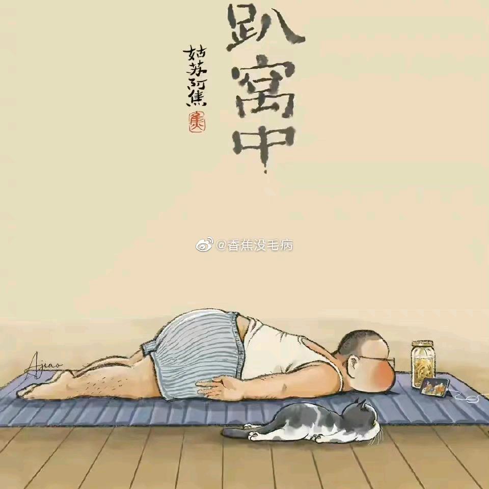 追梦的老帅头像