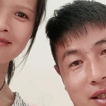 忠吉