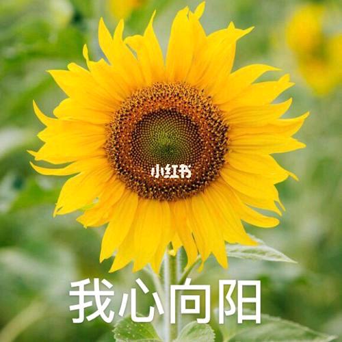 嘻嘻哈哈户8061561911213