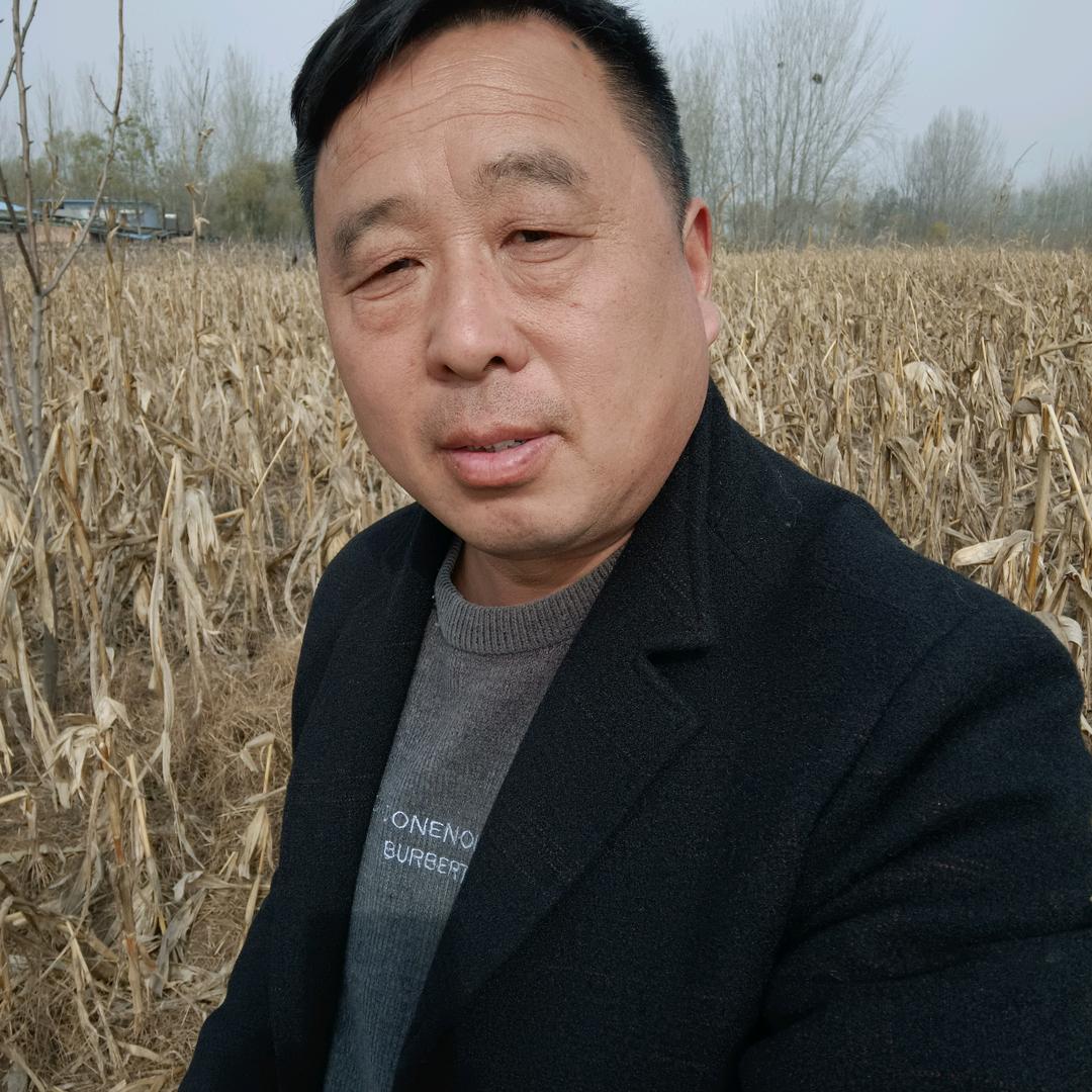 保丰收军哥