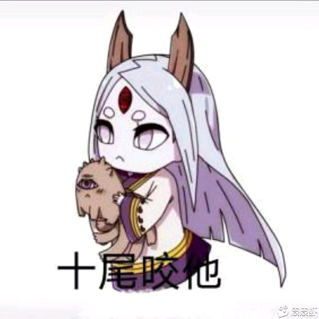 井粮（种花家的大白兔）