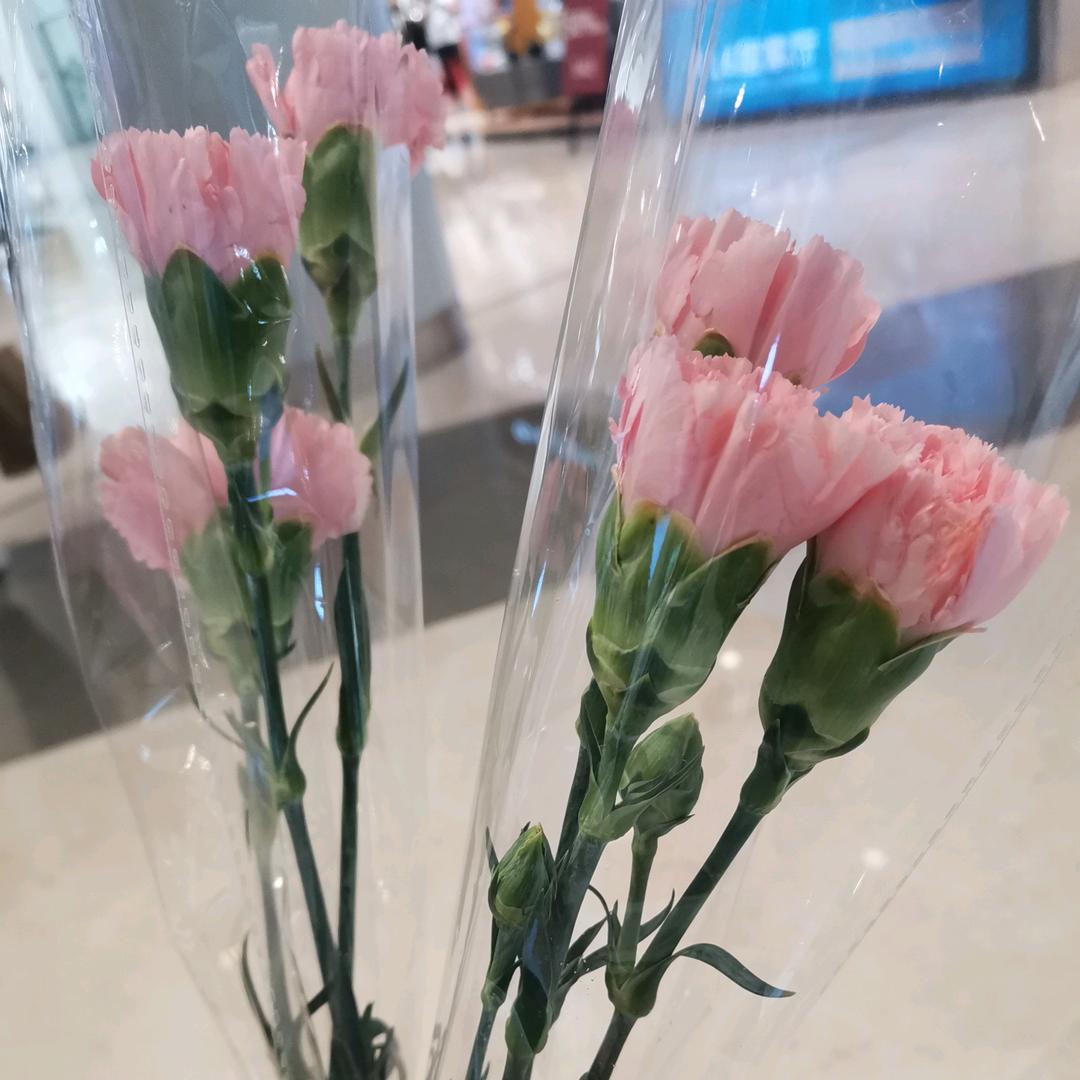 向日葵🌻