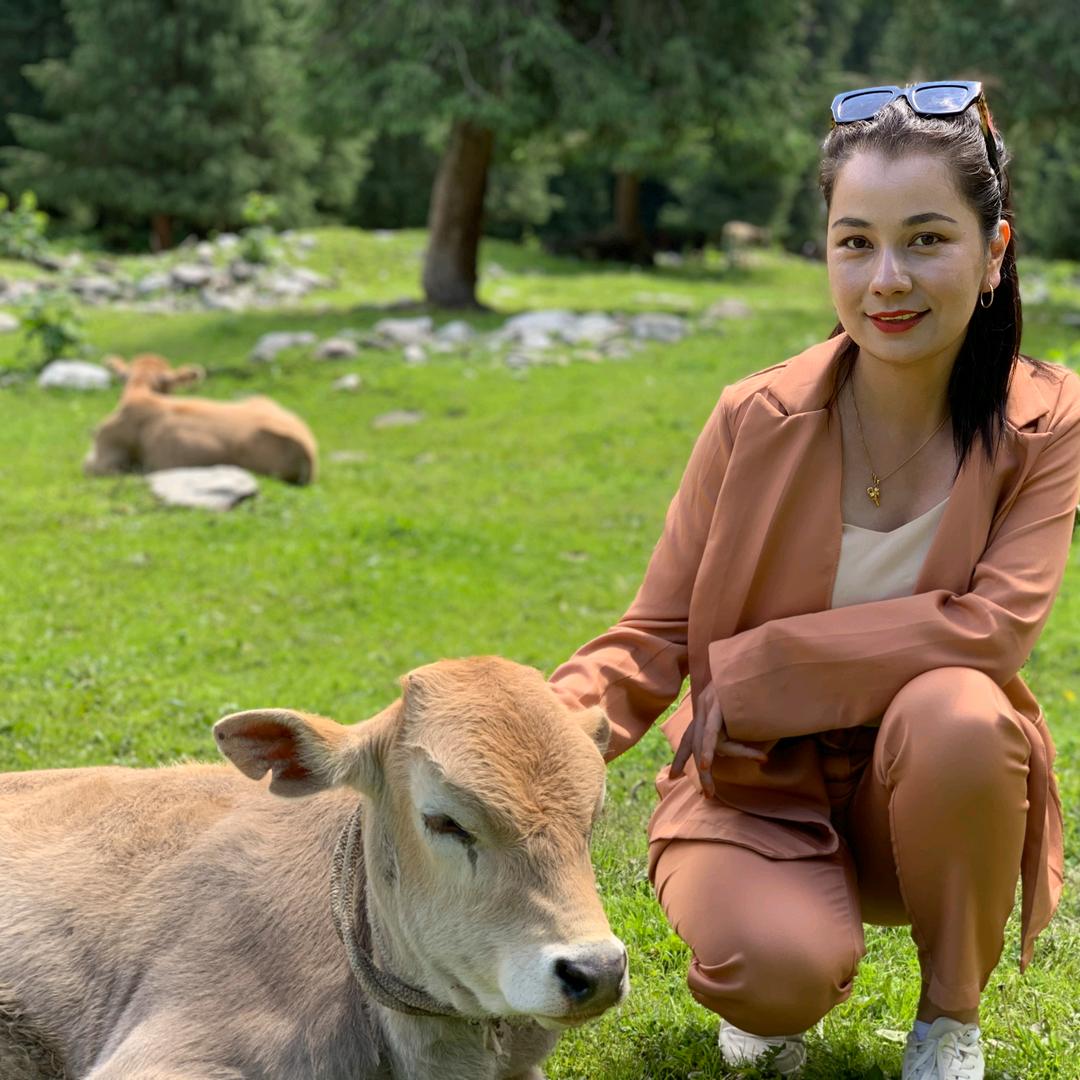 你真我珍 好物推荐