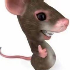 稀💩拌电线胶粘还发电