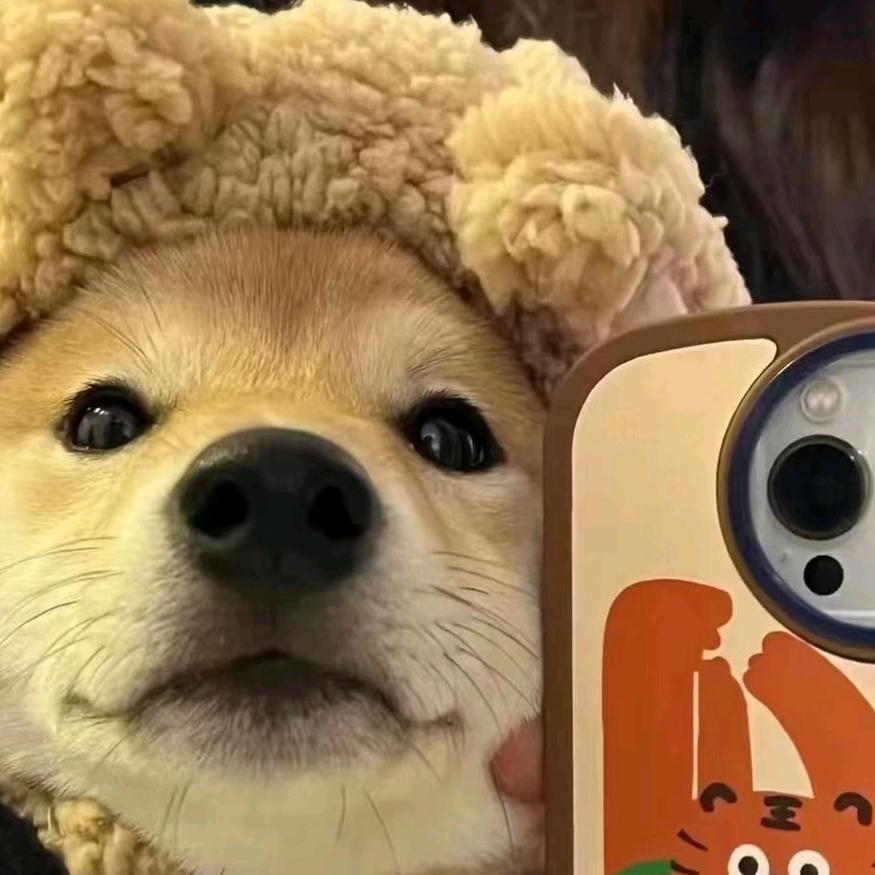 小雷