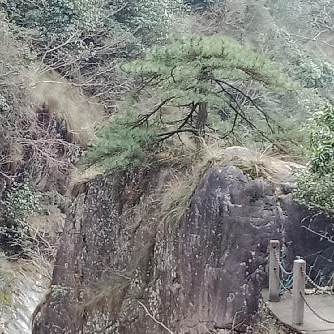 我是雪。