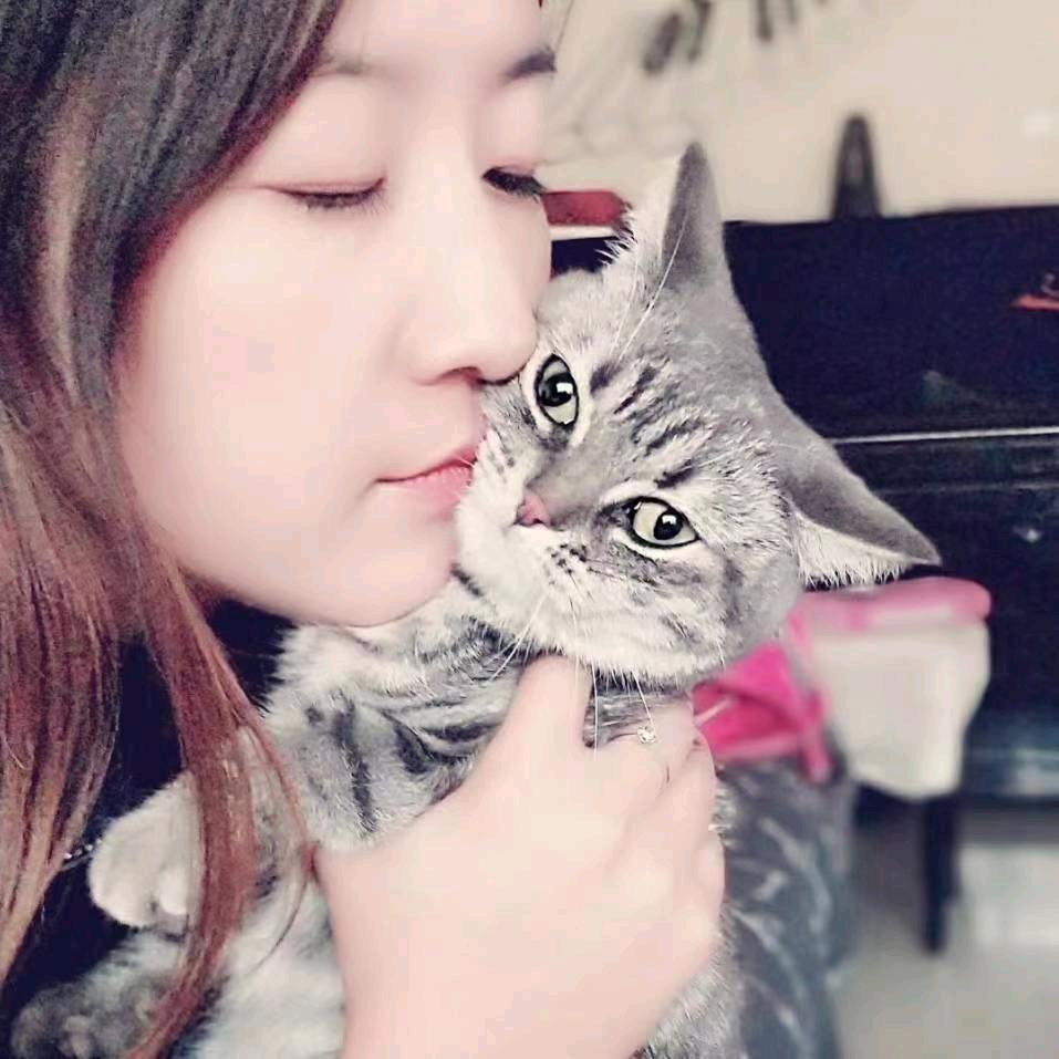 喝可乐の猫