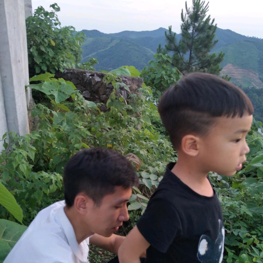 故湘情青