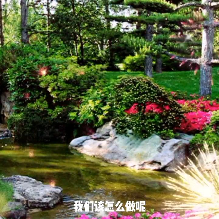 开心最重要