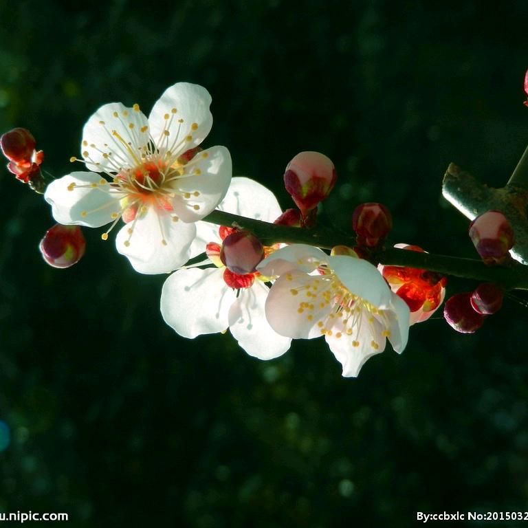 🕊好运终相随ℒℴѵℯ·¹³¹⁴ృ༊