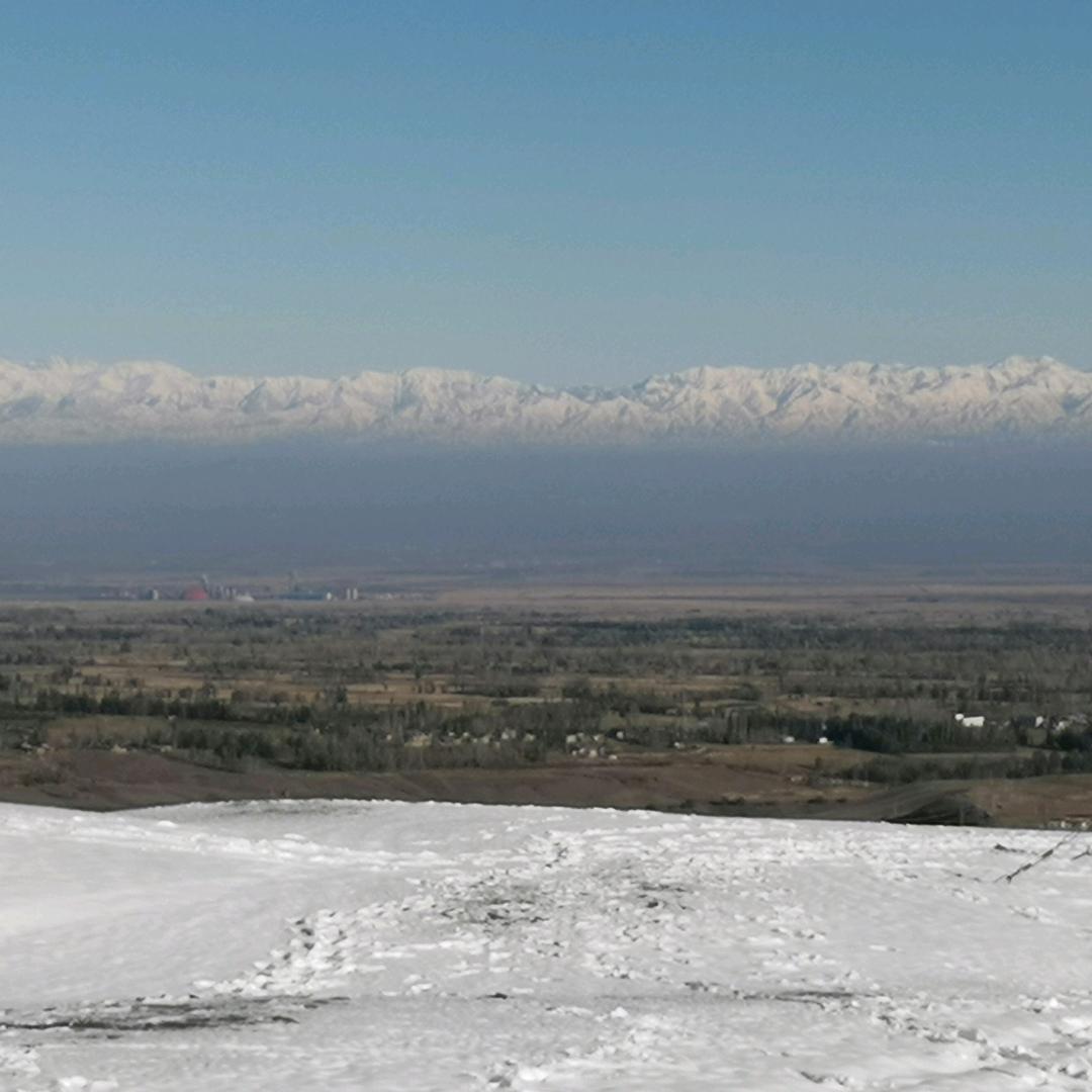 唫碙▄︻┻┳═一∵∴