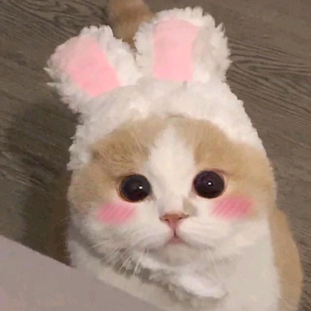 聂嘴嘴