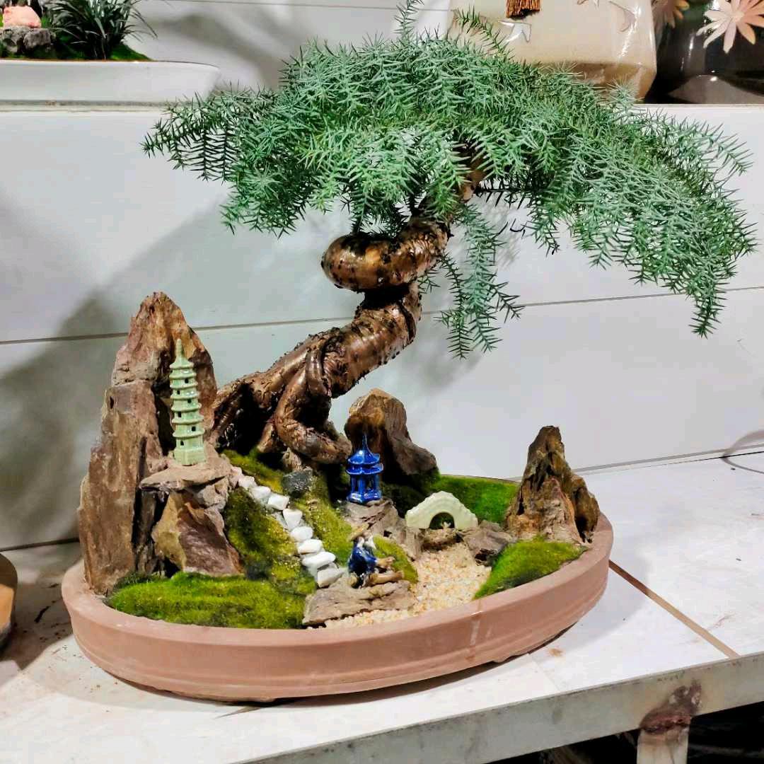 喜洋洋花卉