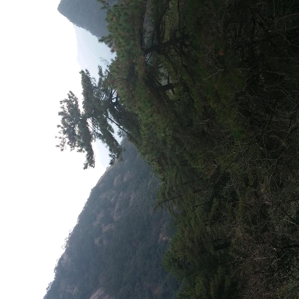 坚持