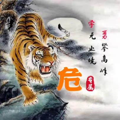 虎  虎  虎