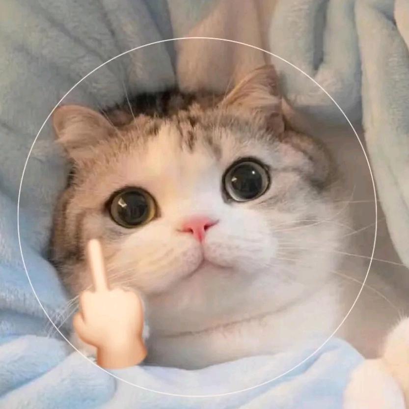 歪比巴卜