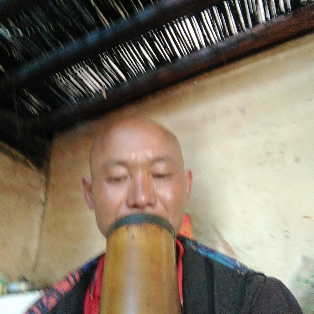 楊丝