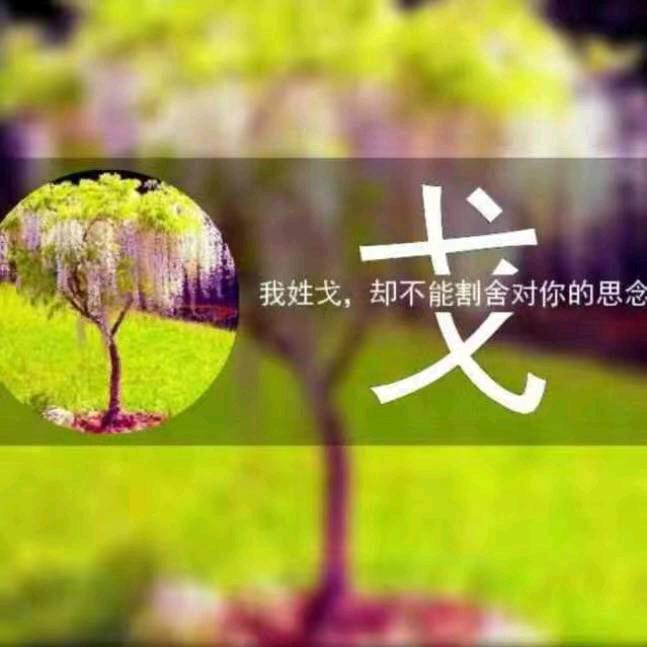 戈二蛋