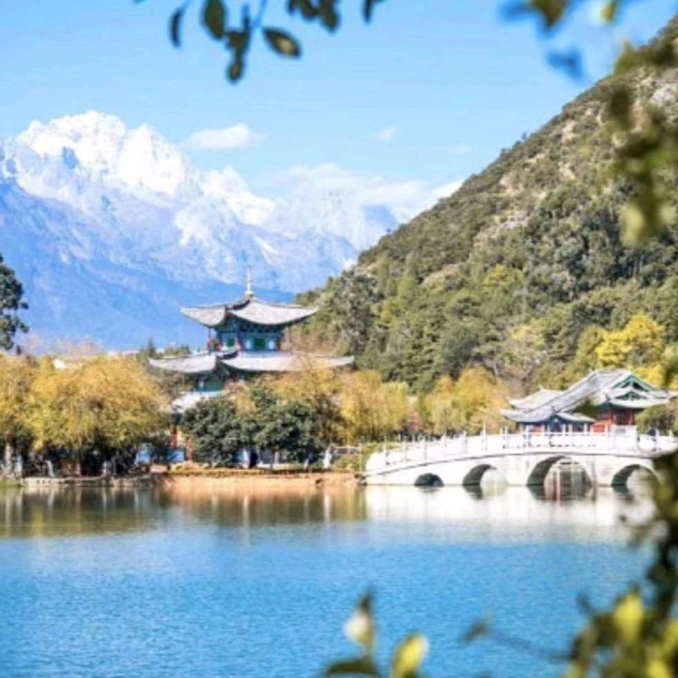桃花散漫