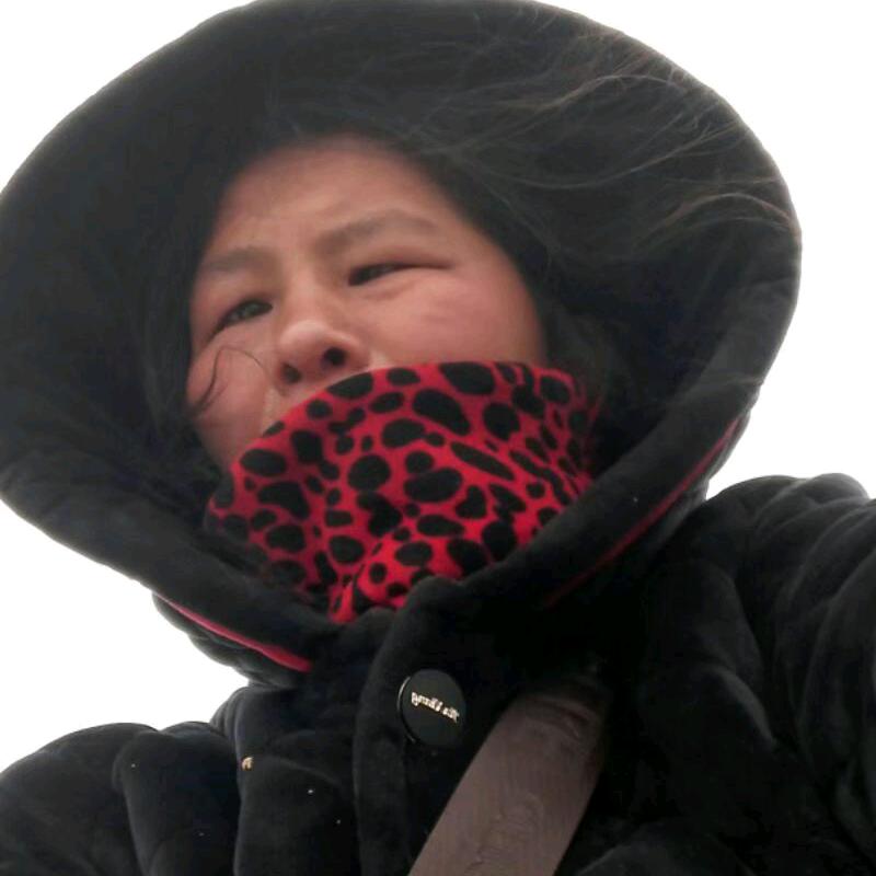 耿丽