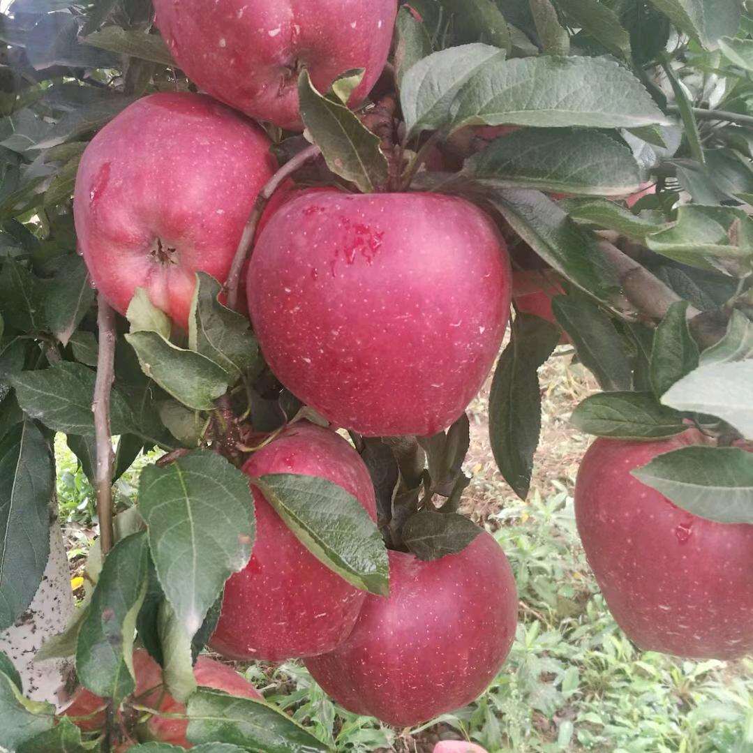 失望😔😔😔😔😔😔😔😔😔