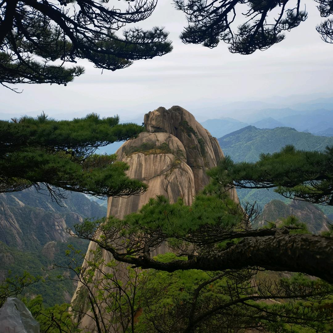 天成