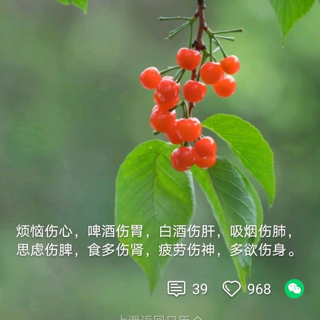 晧月