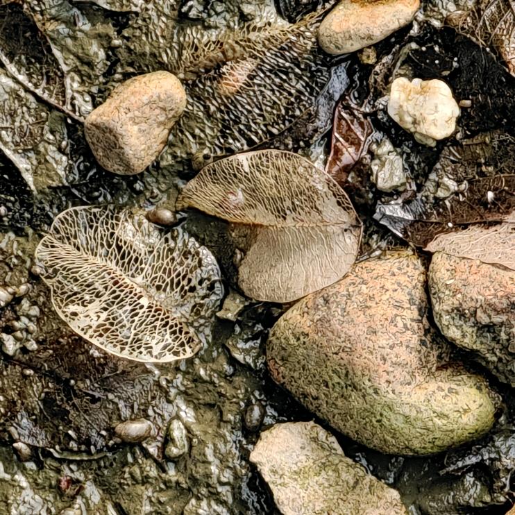 🌈财神爷恩宠🌈