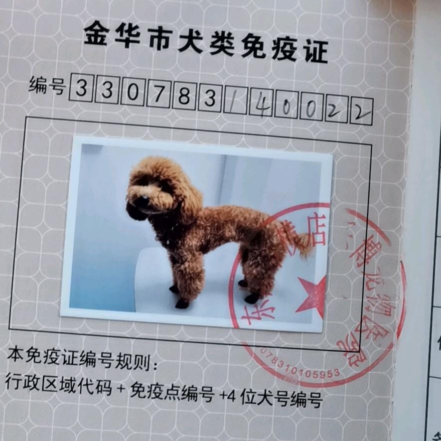 心如止水