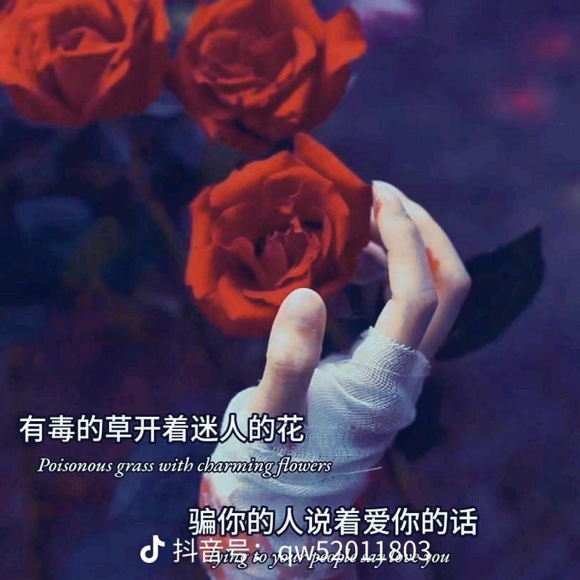 @༄༊࿆纵饮ོྂཾ࿆ℒℴѵℯ孤独ོృ࿐