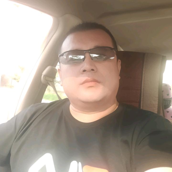 风吹杨柳