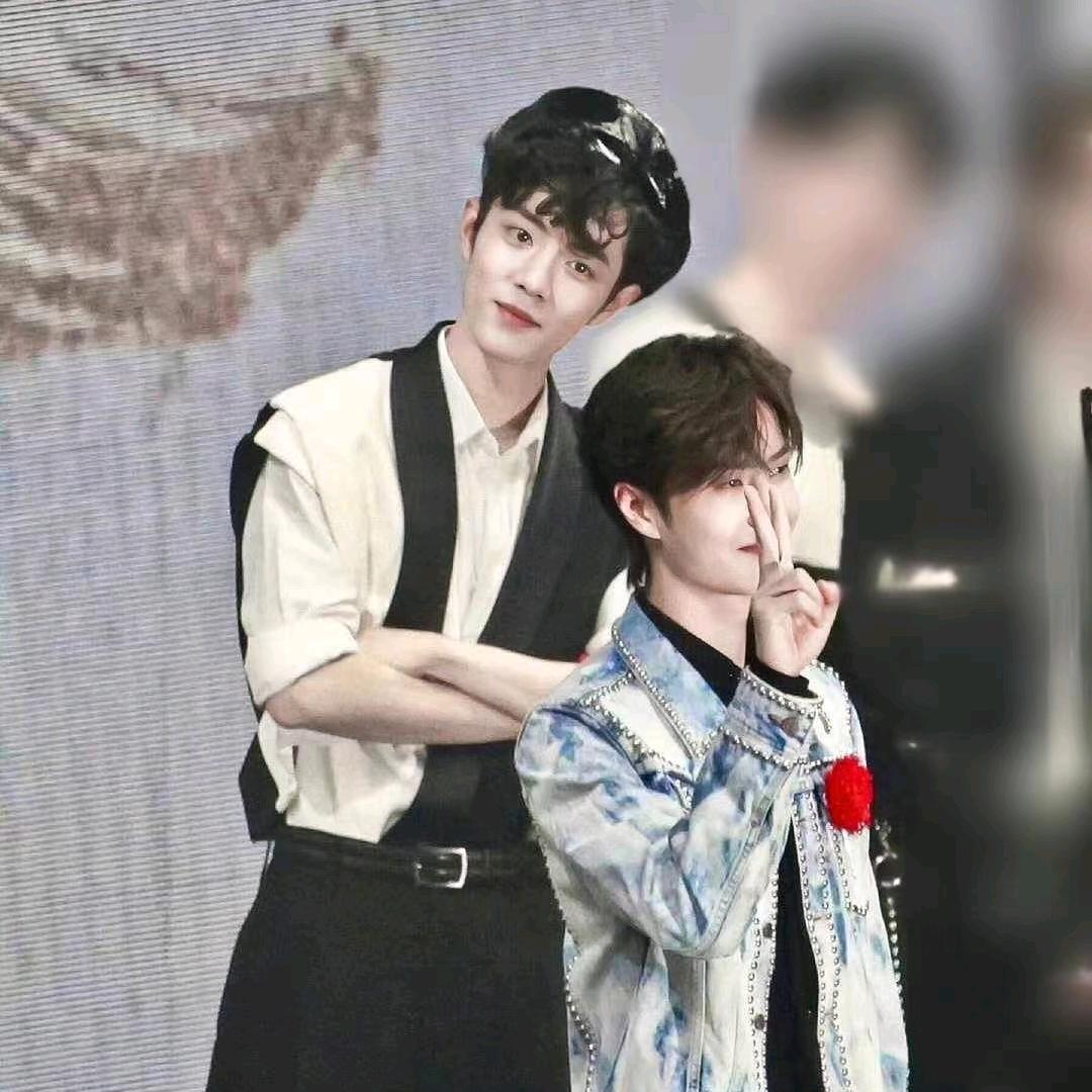 🦁💚🐰❤️向阳花🌻