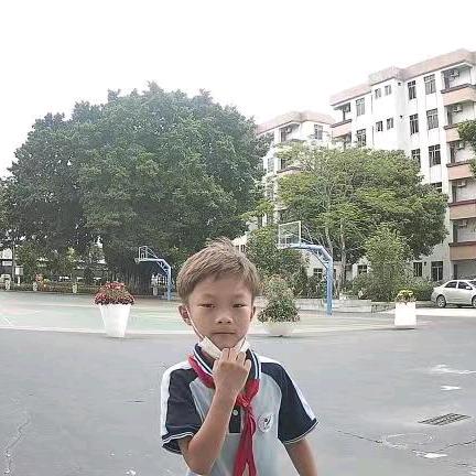 饼干哥哥公立还是私立好