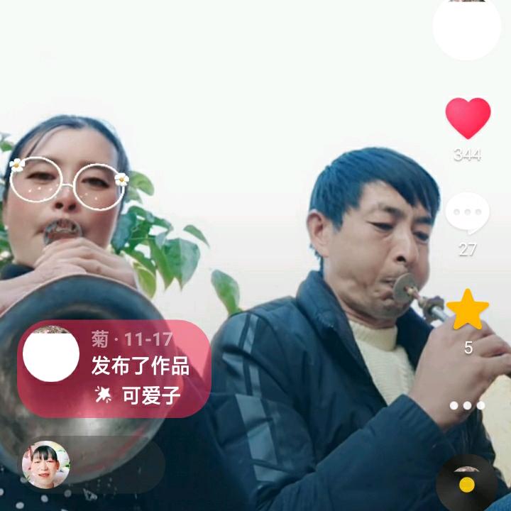 大西南乐队—邓树菊