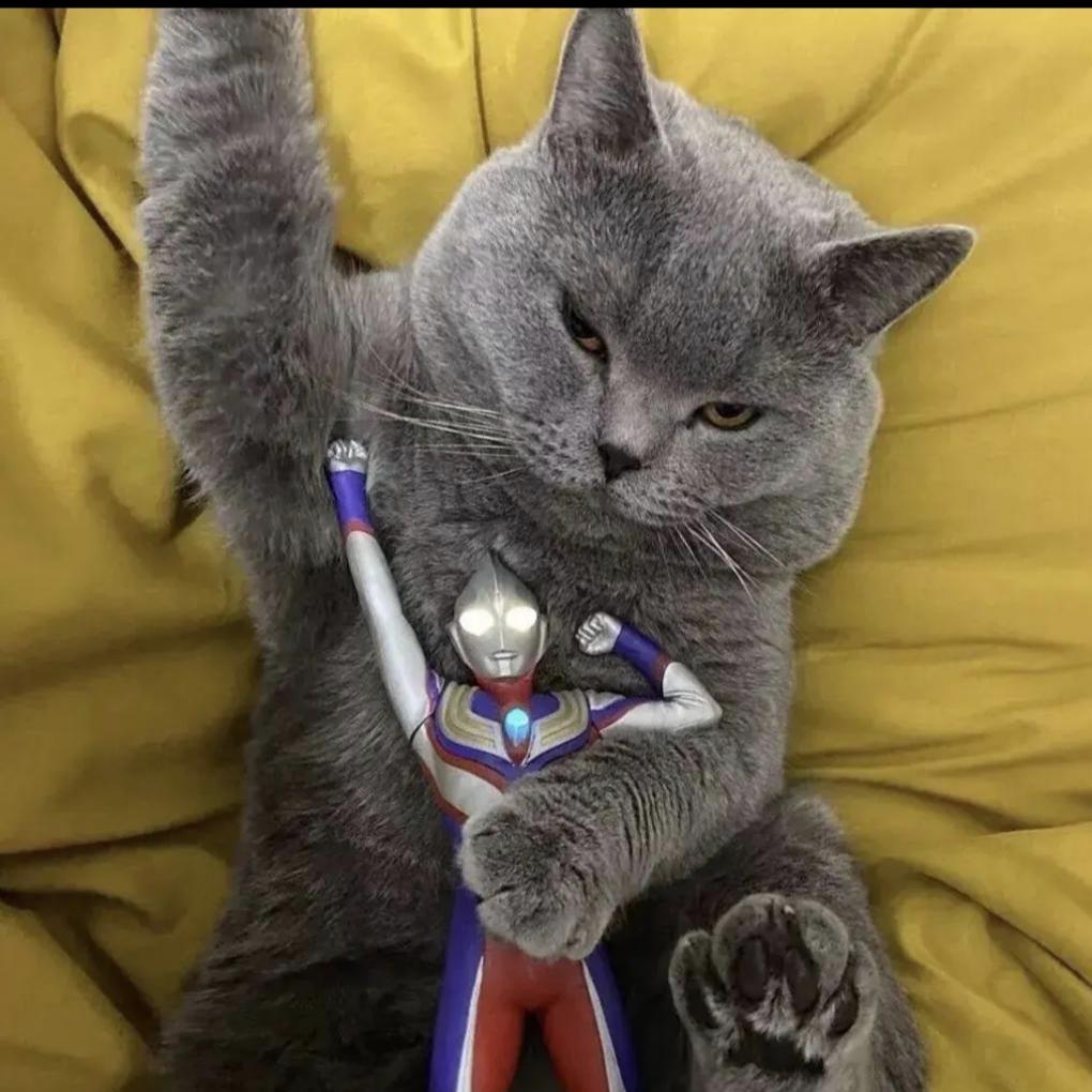 ㅤㅤㅤㅤㅤㅤㅤ ㅤㅤㅤ