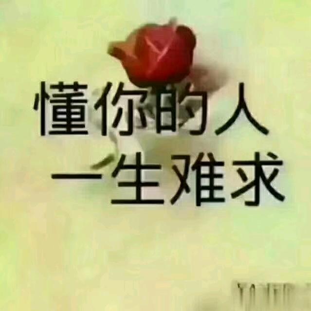 追求梦想    梦想成真