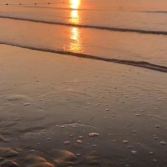 橘子