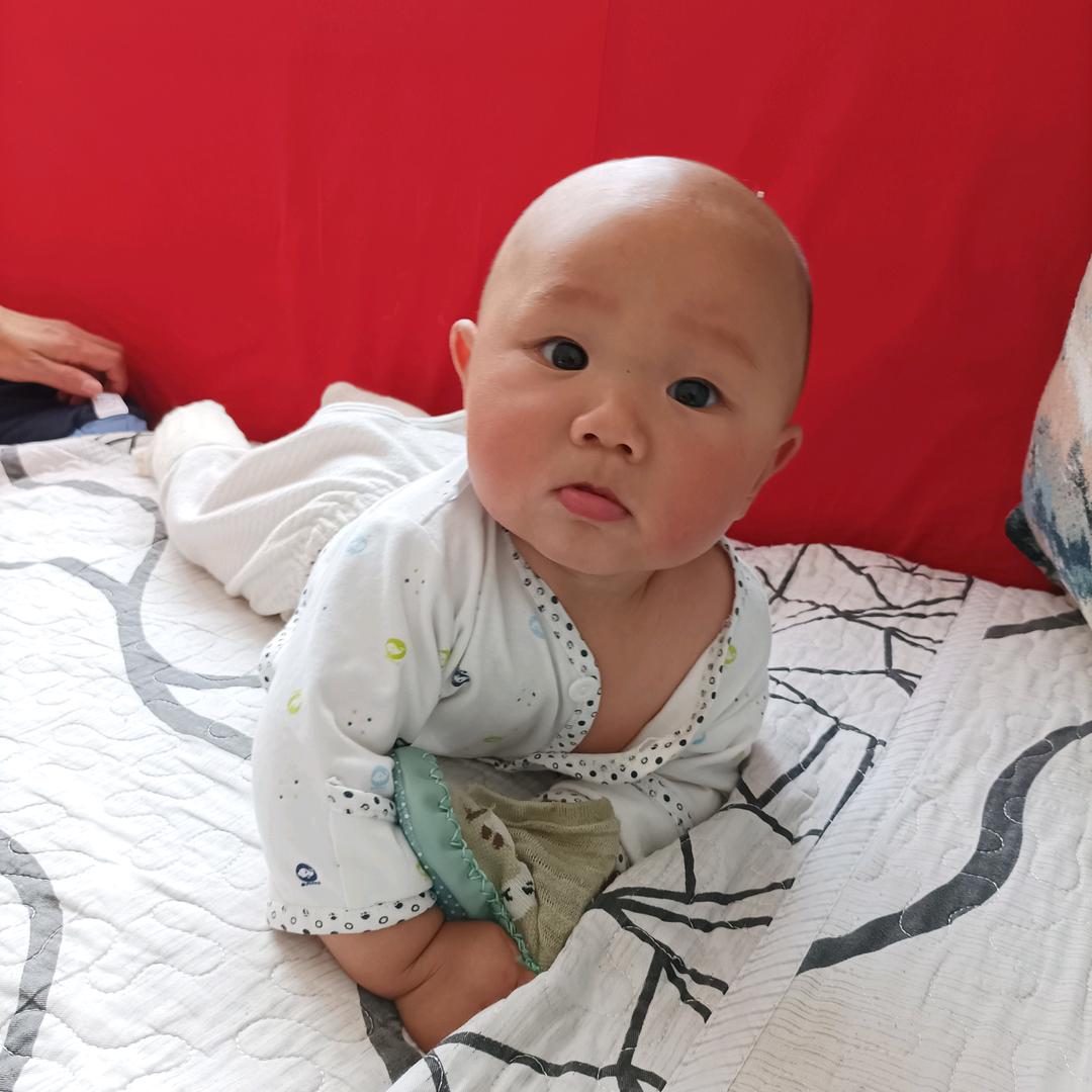 麦麦三桥锅一家人