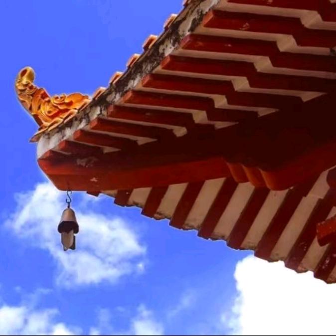 奔梦路上