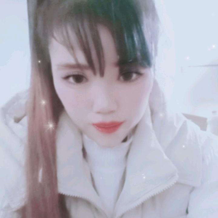 单身燕子