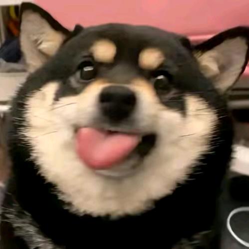 。顾哲。